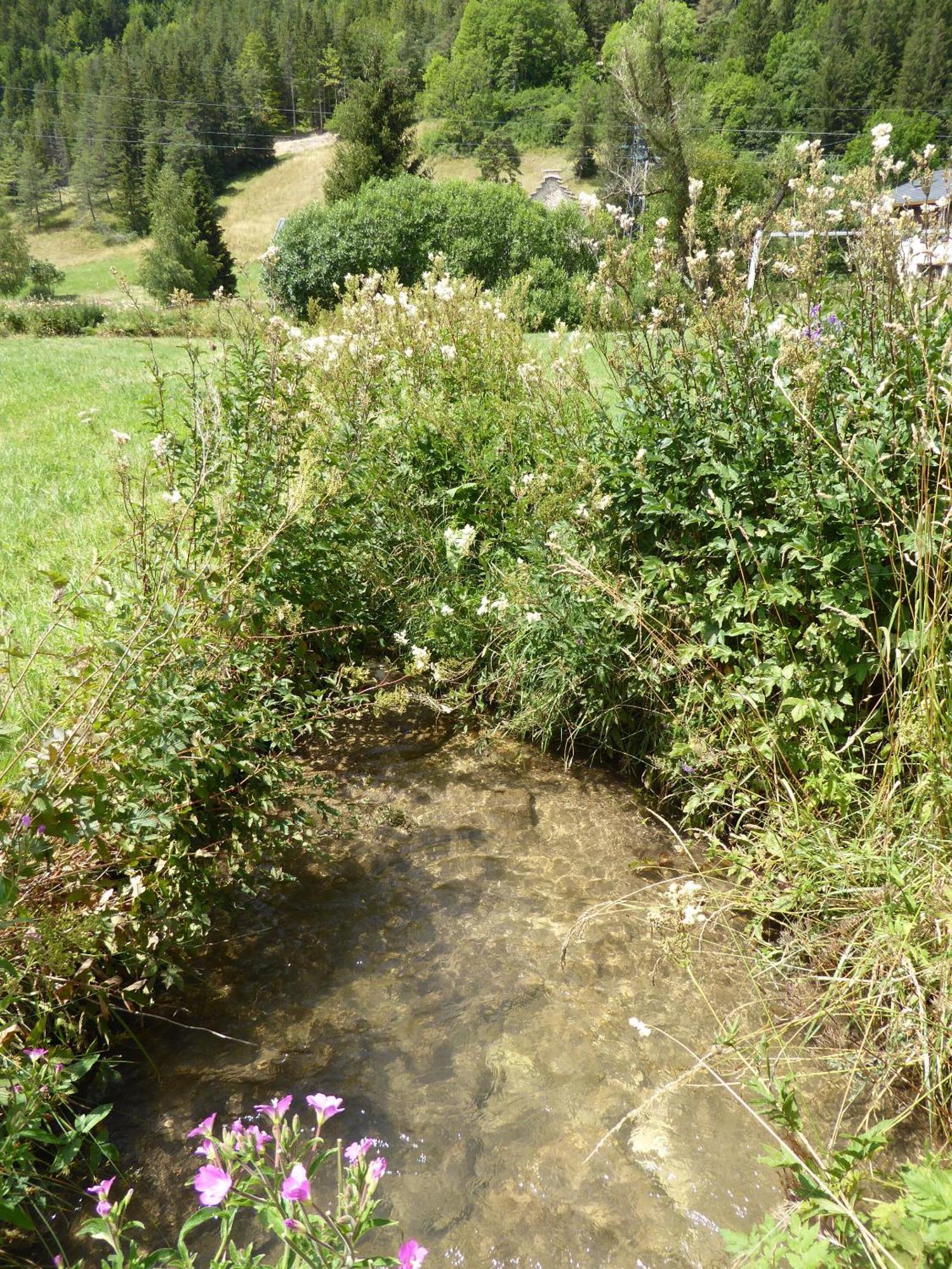 Ferme De La Grande Moucherolle Villard-de-Lans Bilik gambar