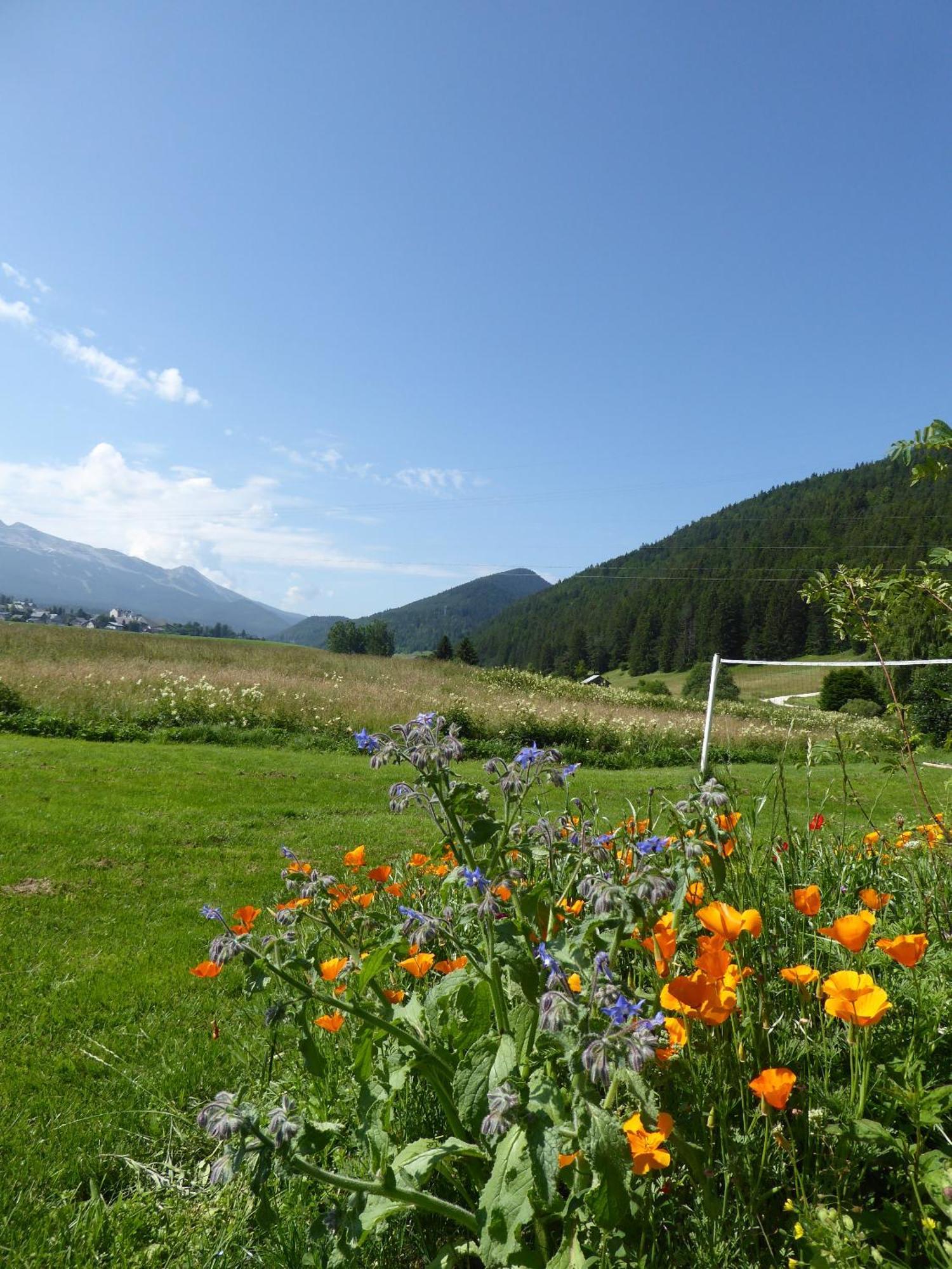 Ferme De La Grande Moucherolle Villard-de-Lans Luaran gambar